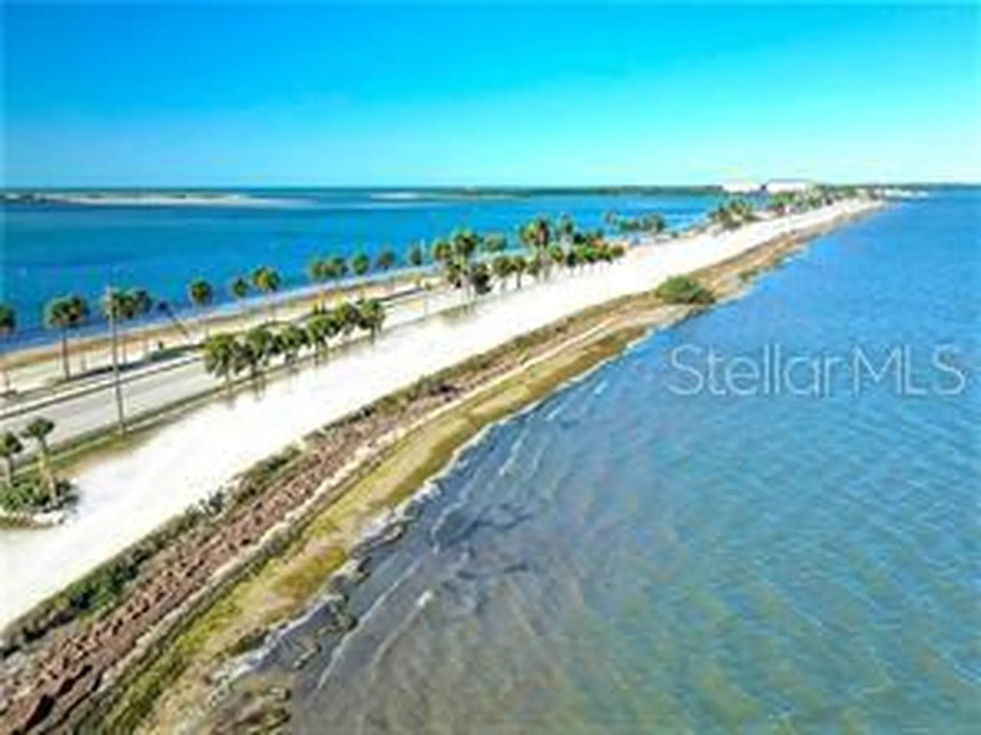 3198 Claremont Place Palm Harbor FL 34683