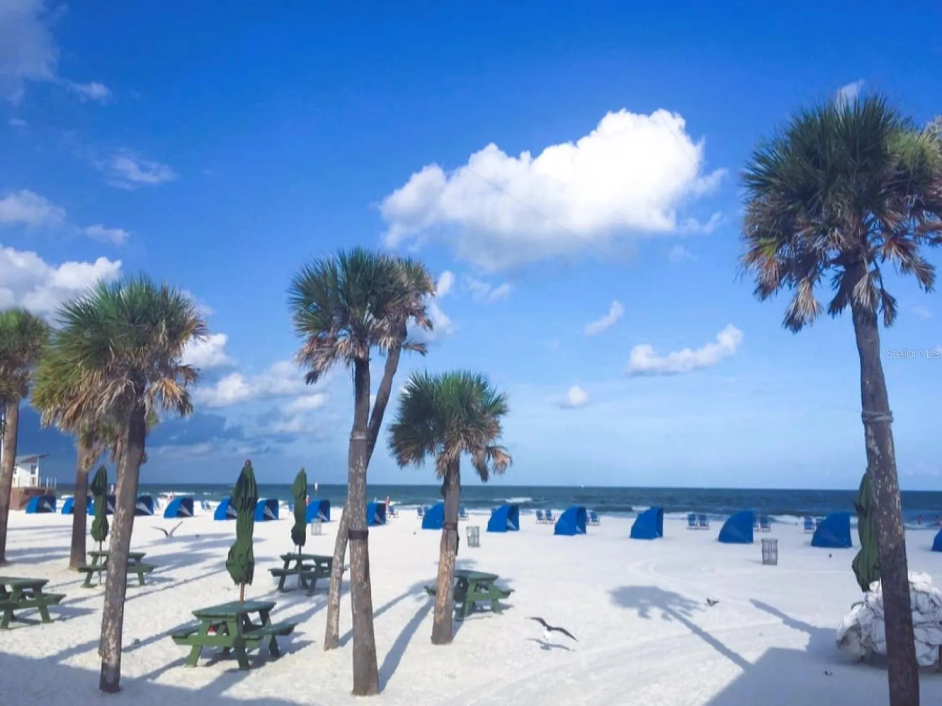 3198 Claremont Place Palm Harbor FL 34683