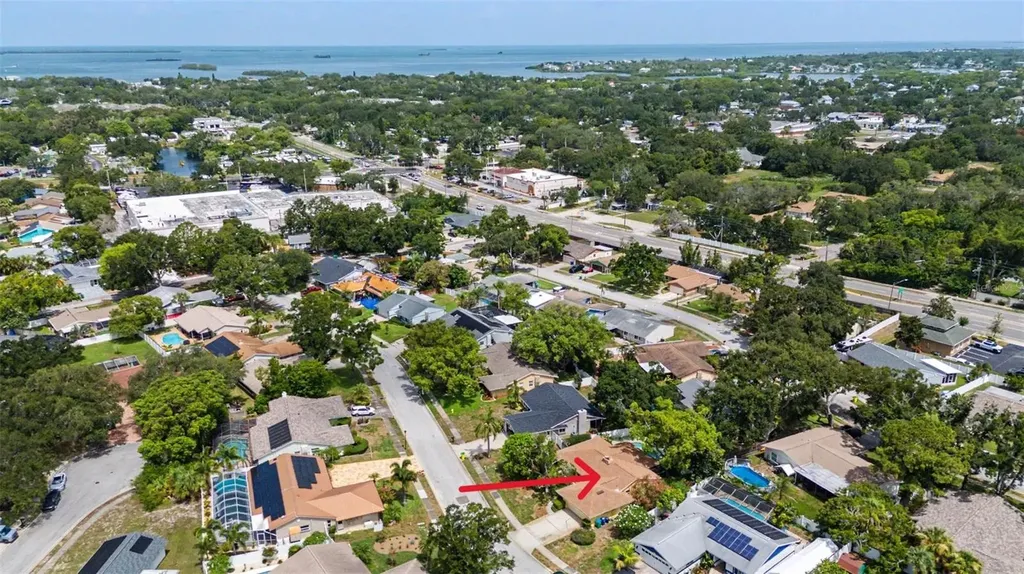 1100 Persimmon Drive Palm Harbor FL 34683