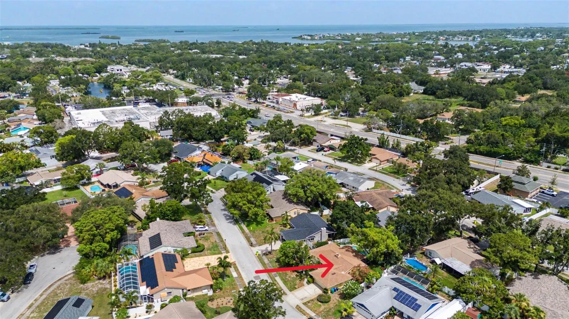 1100 Persimmon Drive Palm Harbor FL 34683