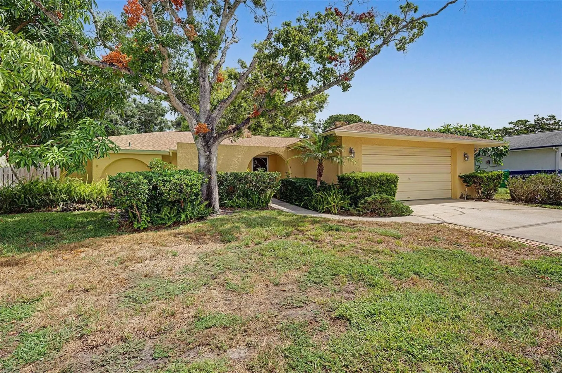 1100 Persimmon Drive Palm Harbor FL 34683