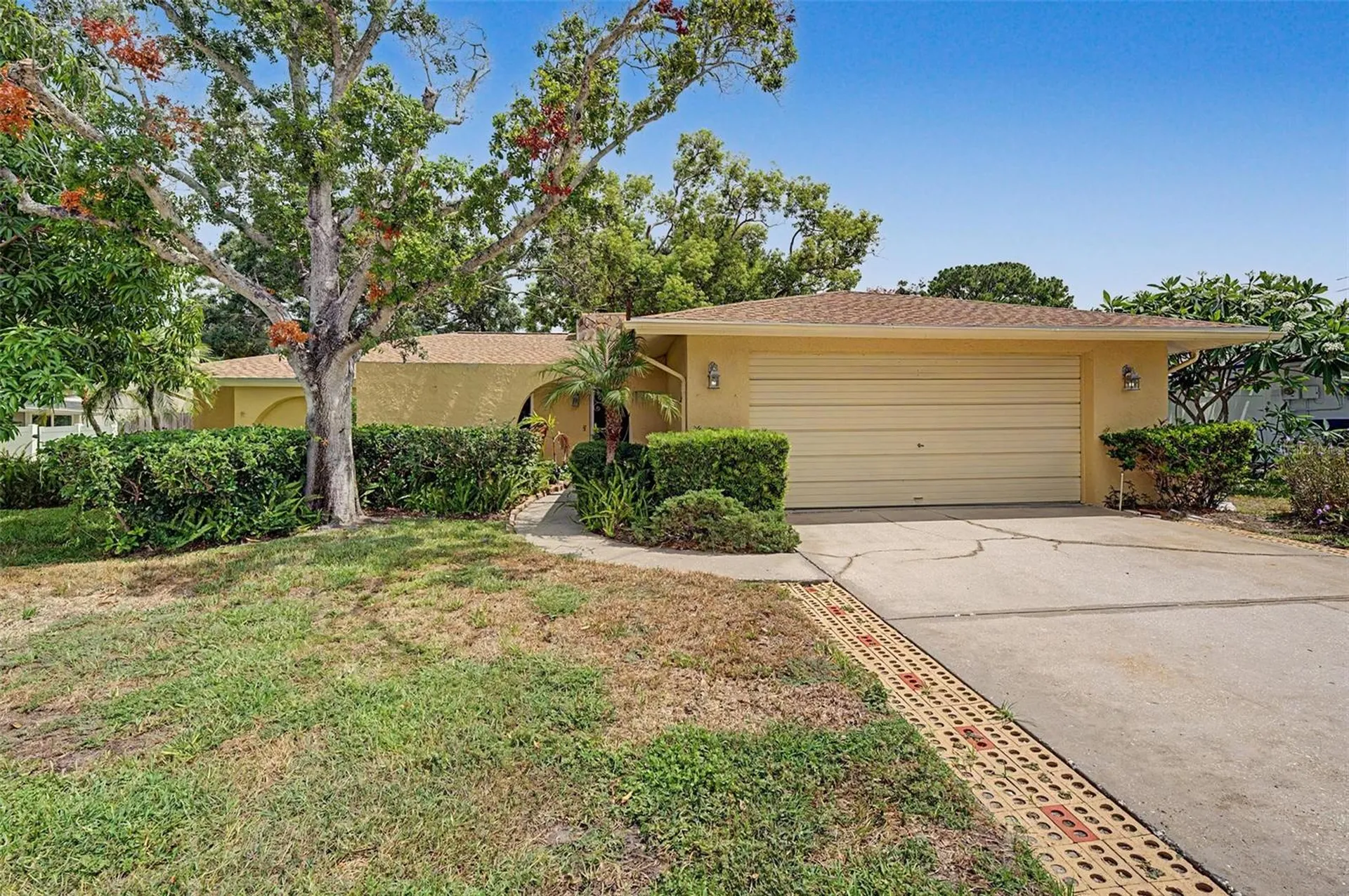 1100 Persimmon Drive Palm Harbor FL 34683
