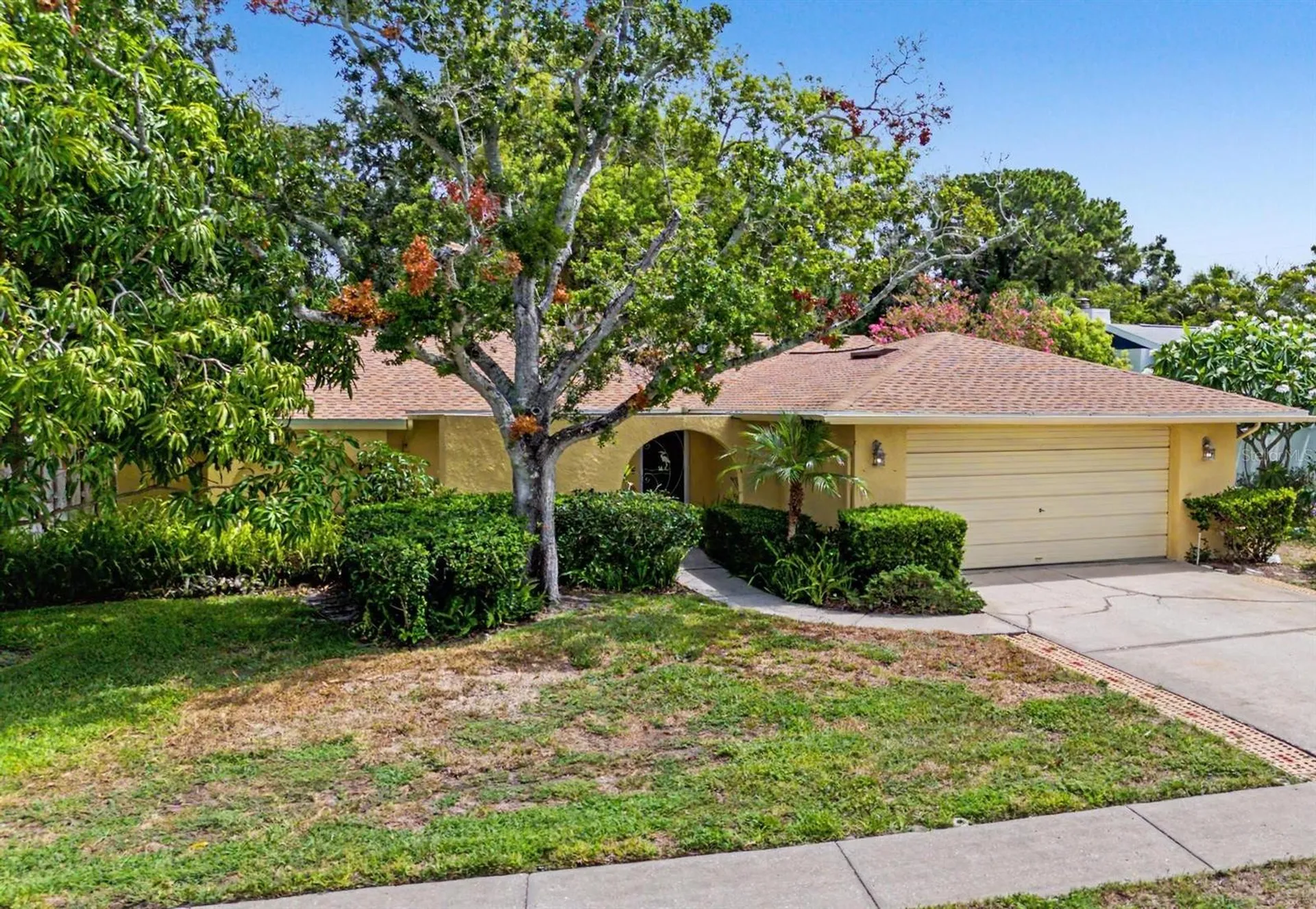 1100 Persimmon Drive Palm Harbor FL 34683