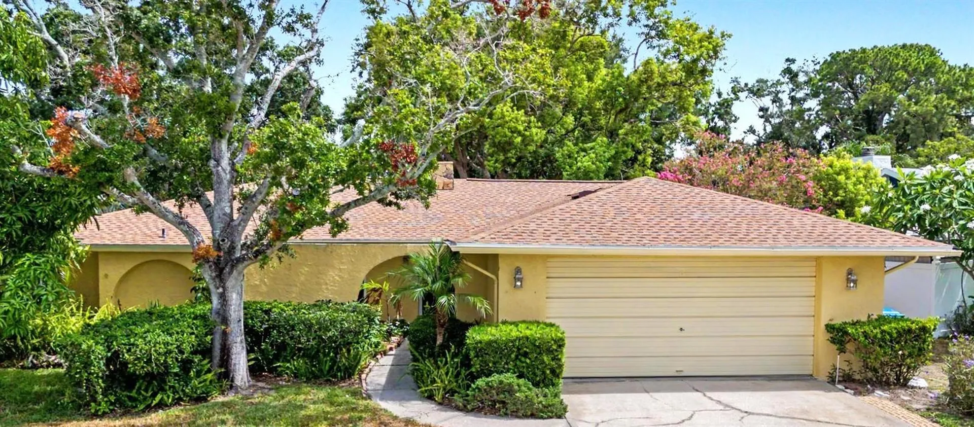 1100 Persimmon Drive Palm Harbor FL 34683