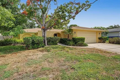 1100 Persimmon Drive Palm Harbor FL 34683