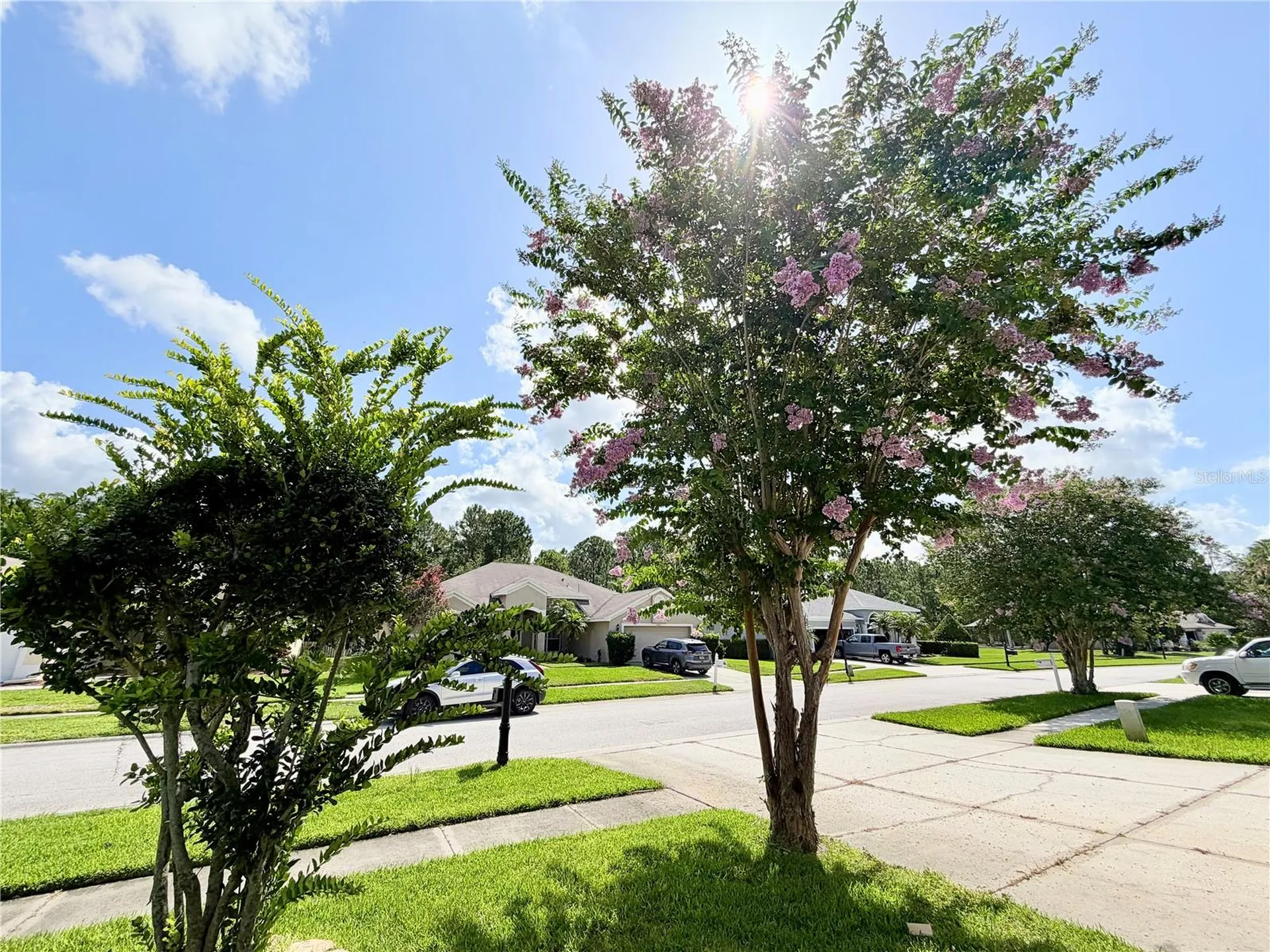14606 Coral Berry Drive Tampa FL 33626