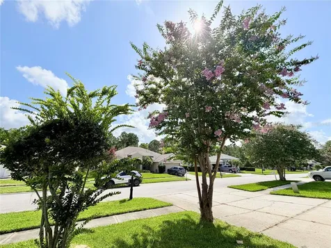 14606 Coral Berry Drive Tampa FL 33626