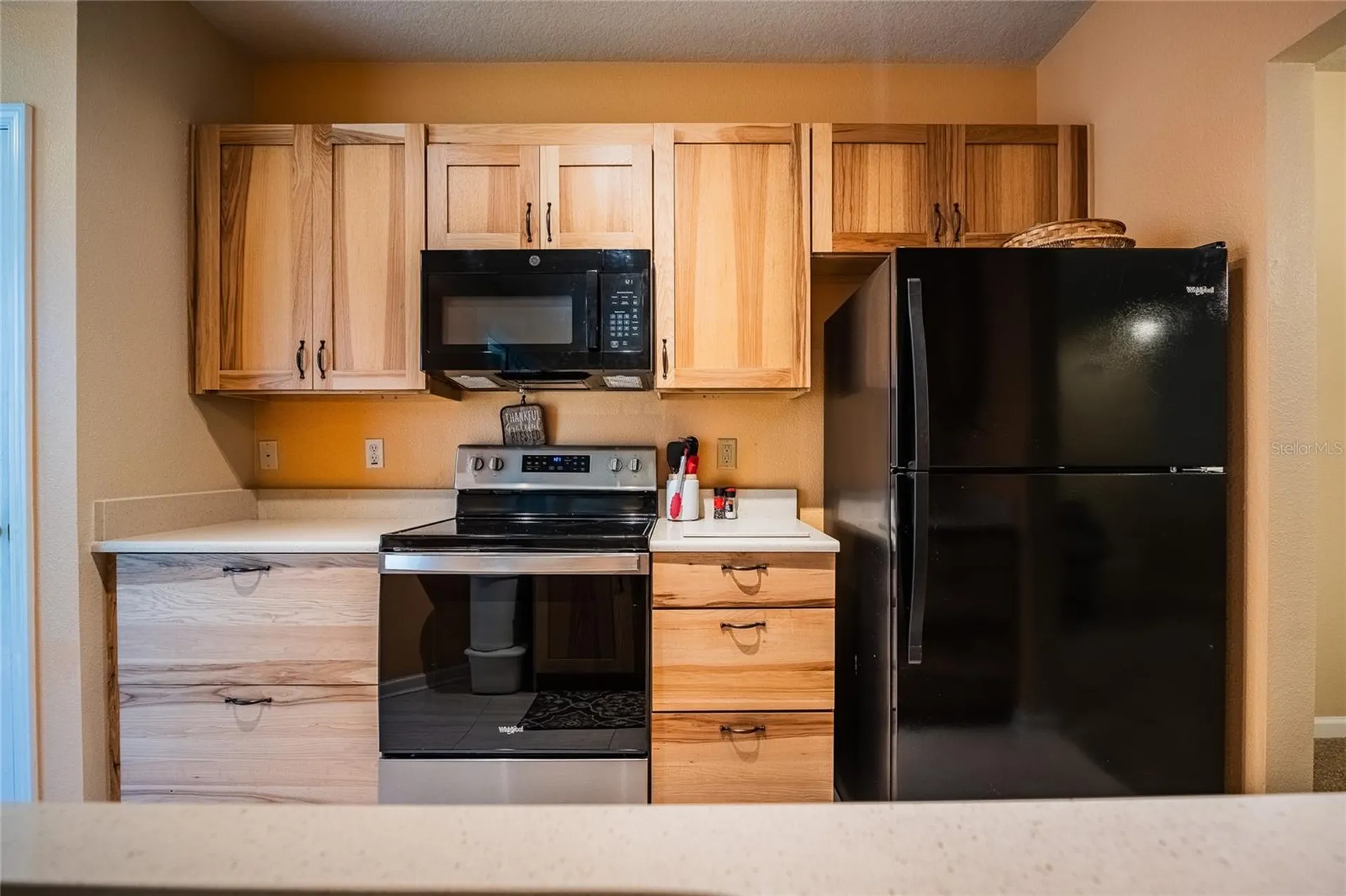 2242 Kings Palace Drive Riverview FL 33578