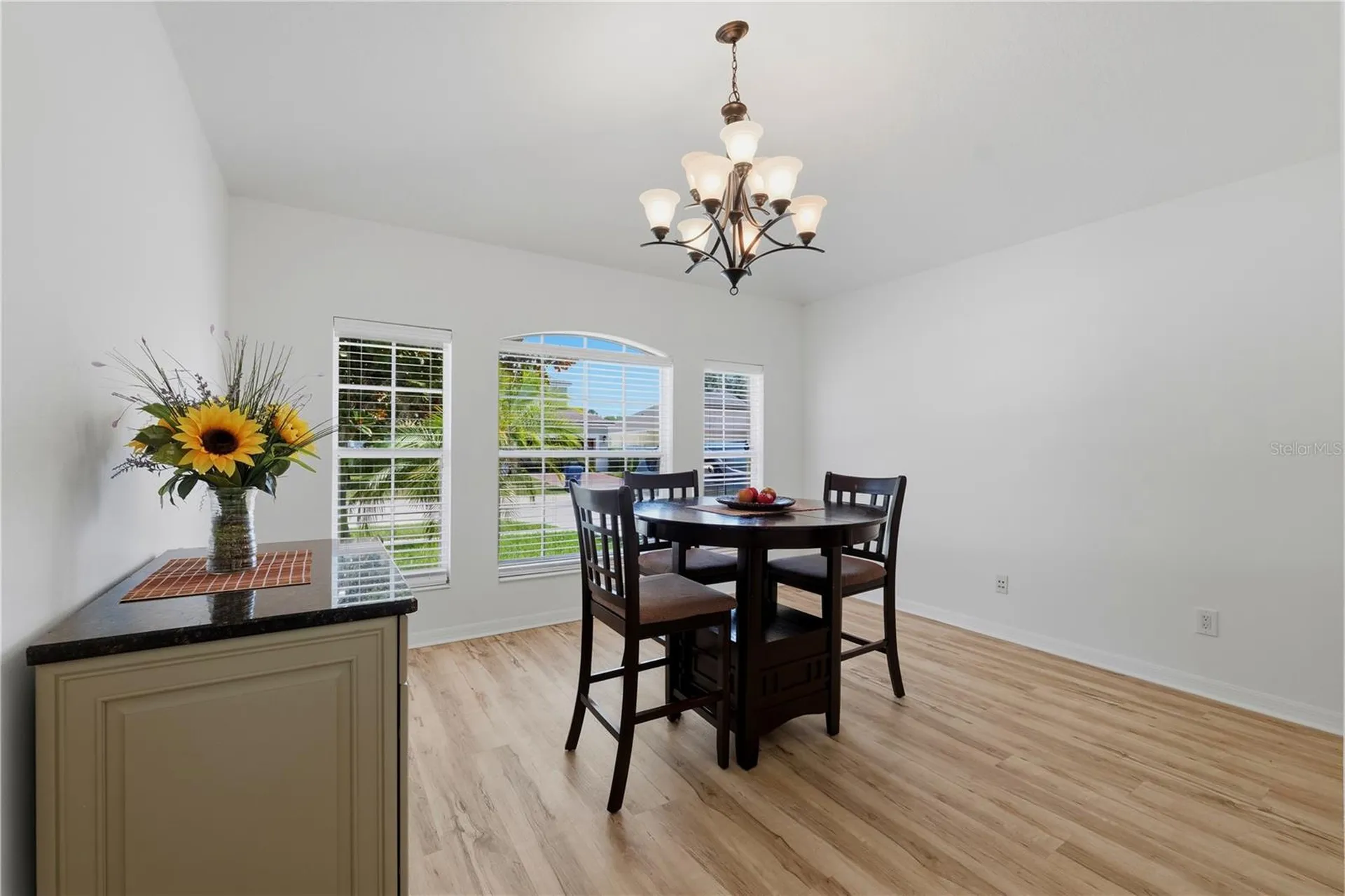 19406 Sunset Bay Drive Land O Lakes FL 34638