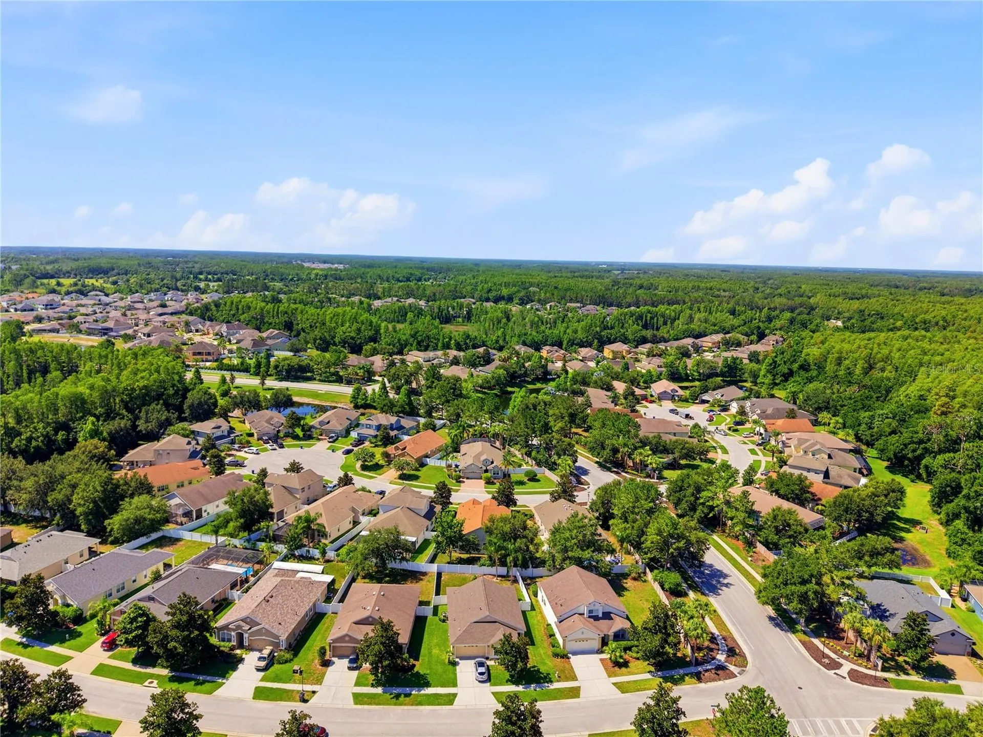 19406 Sunset Bay Drive Land O Lakes FL 34638