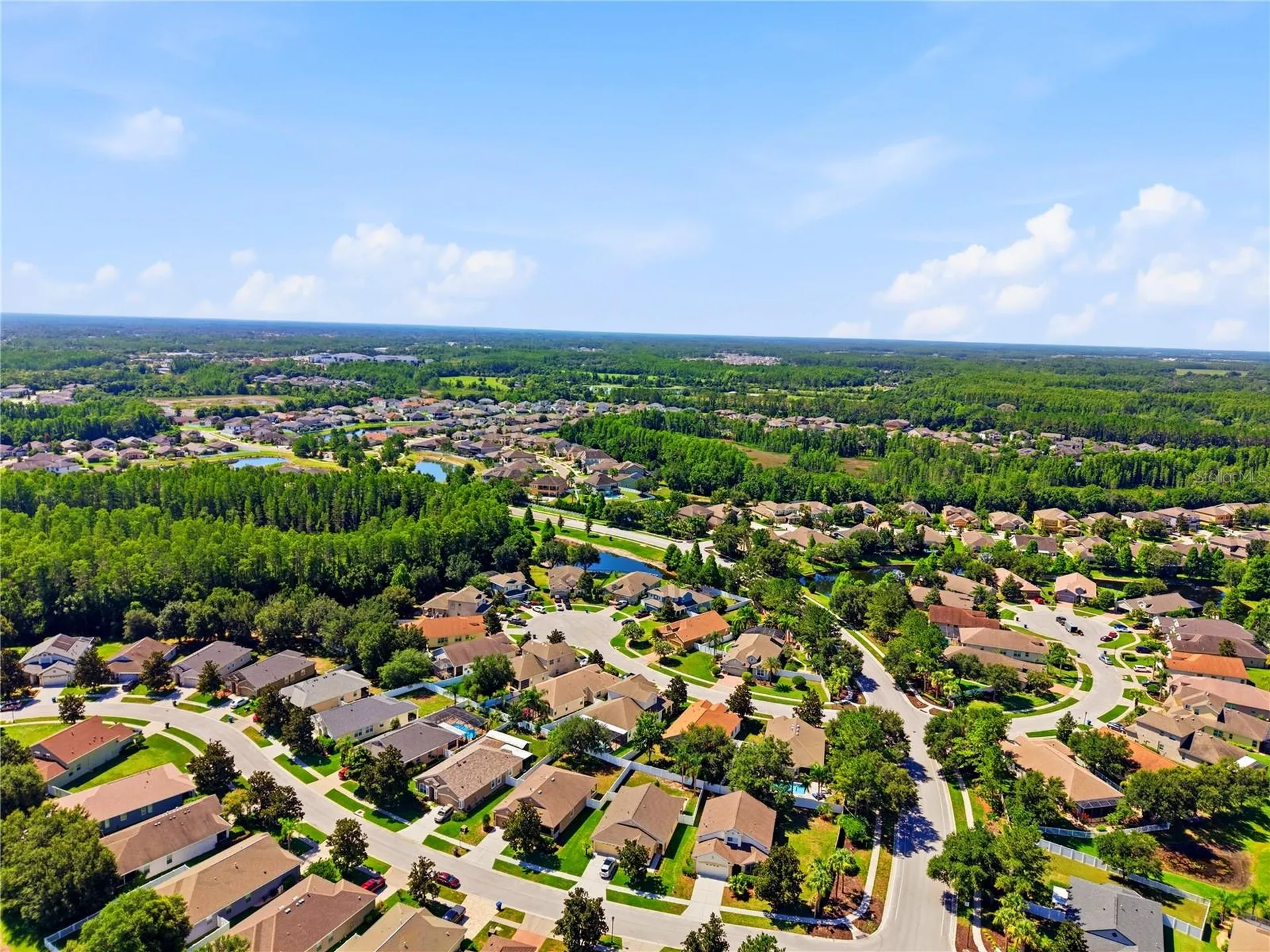19406 Sunset Bay Drive Land O Lakes FL 34638