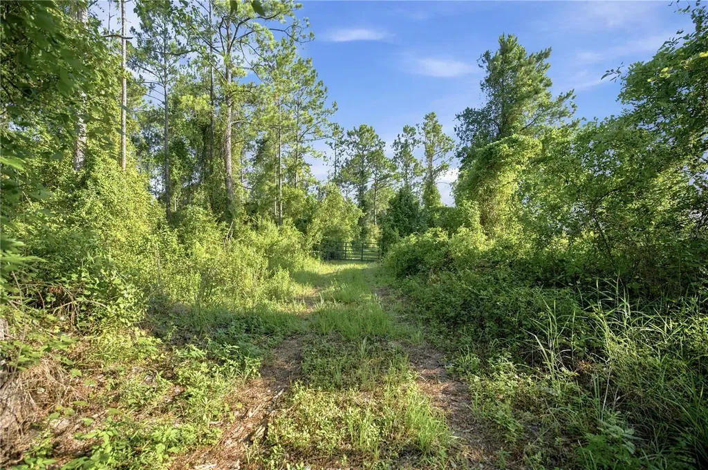 0 E Highway 318 Citra FL 32113