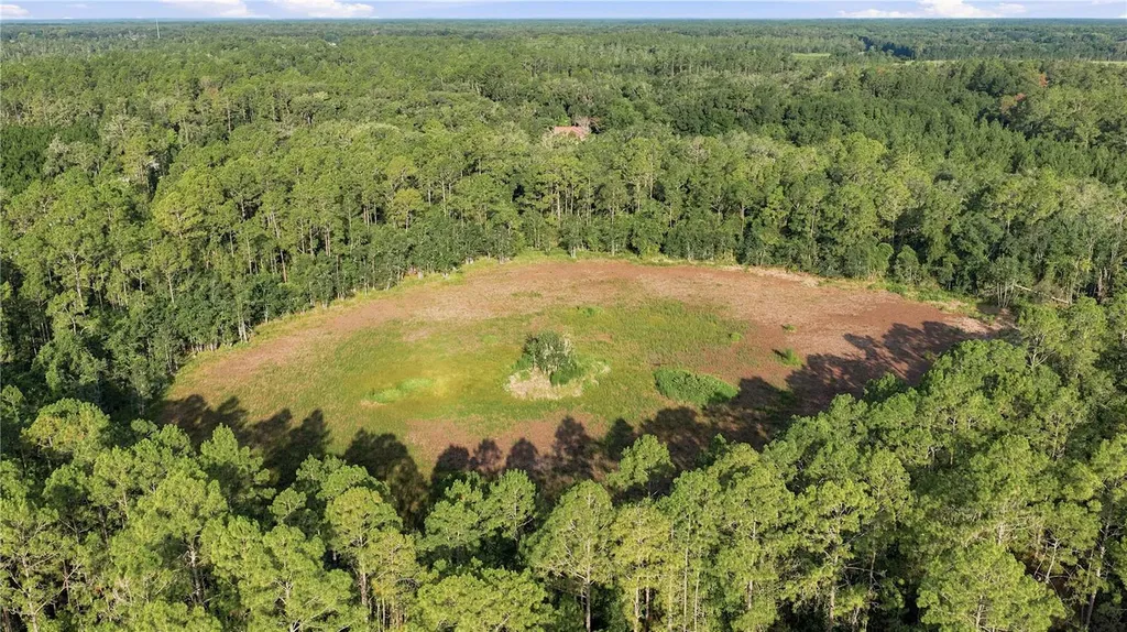 0 E Highway 318 Citra FL 32113