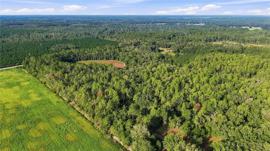 0 E Highway 318 Citra FL 32113