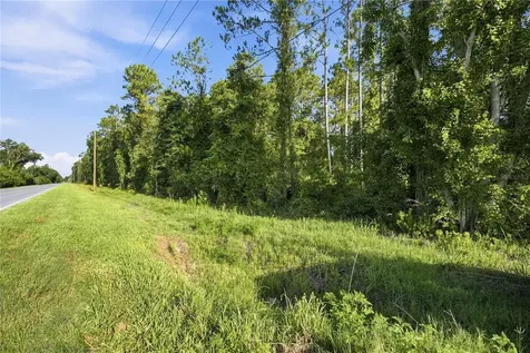 0 E Highway 318 Citra FL 32113