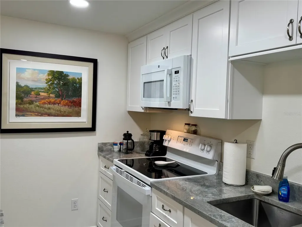 1357 Lakeshore Drive Mount Dora FL 32757