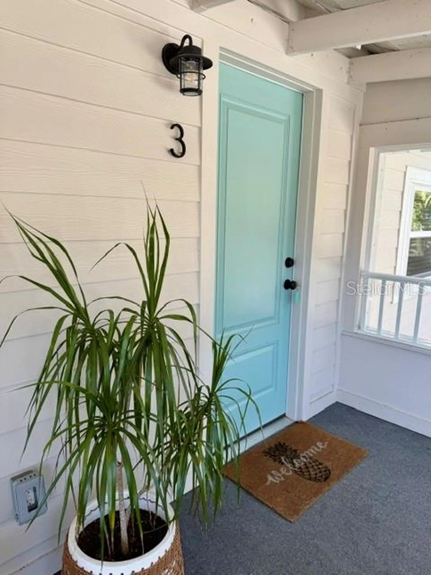 1357 Lakeshore Drive Mount Dora FL 32757