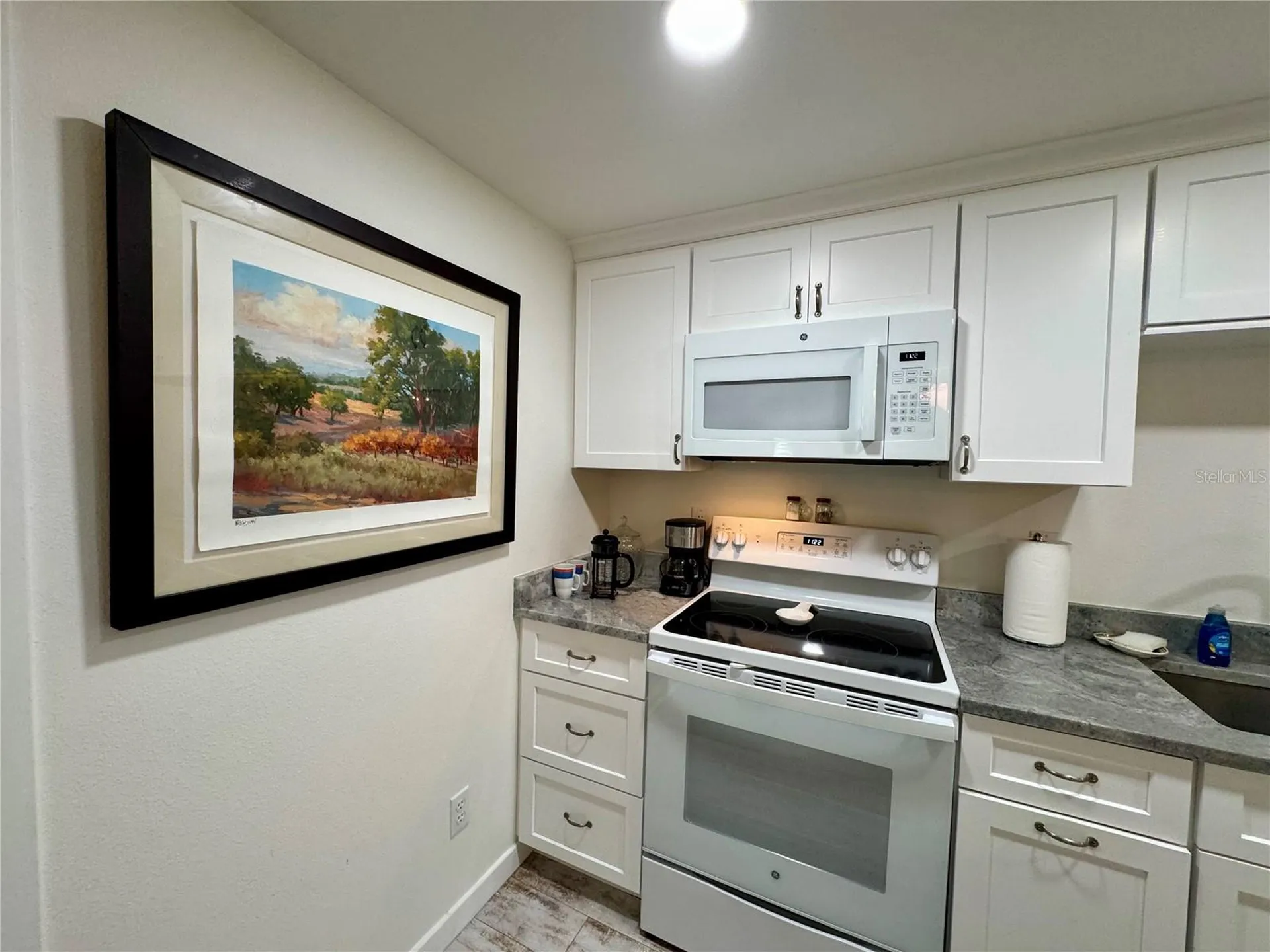 1357 Lakeshore Drive Mount Dora FL 32757