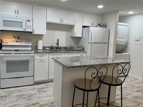 1357 Lakeshore Drive Mount Dora FL 32757