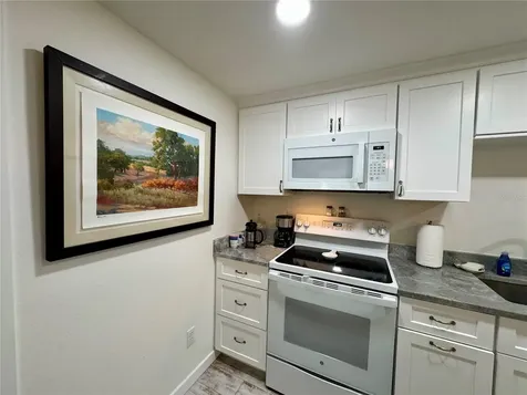 1357 Lakeshore Drive Mount Dora FL 32757