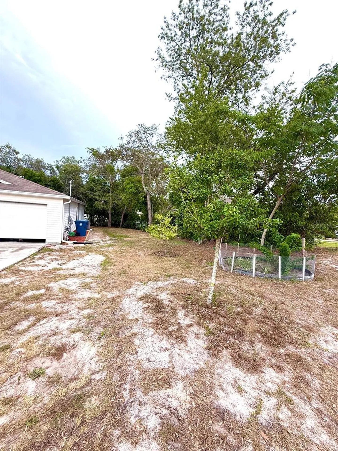 1490 Piper Road Spring Hill FL 34606