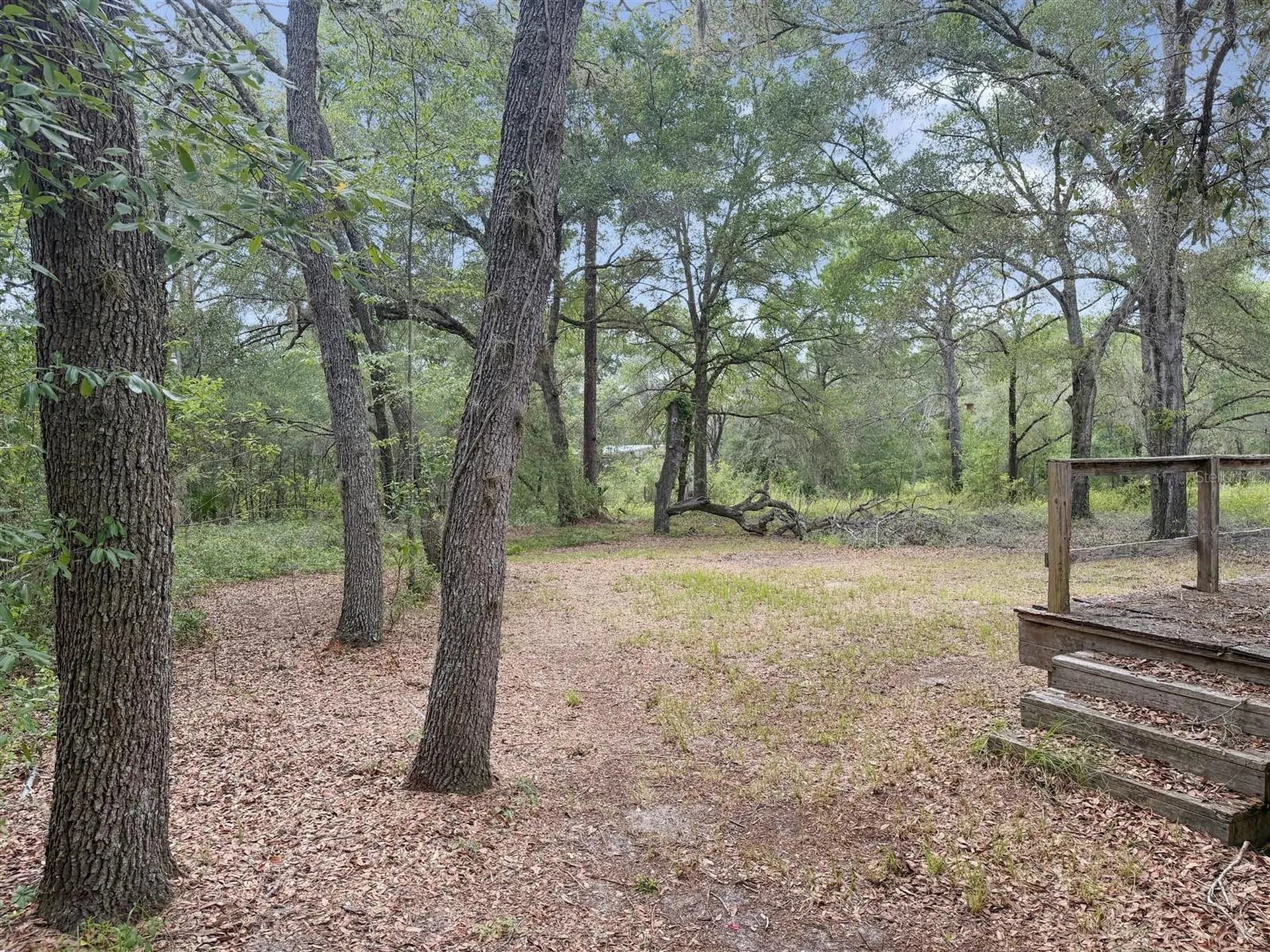 8598 N Appenines Point Dunnellon FL 34433