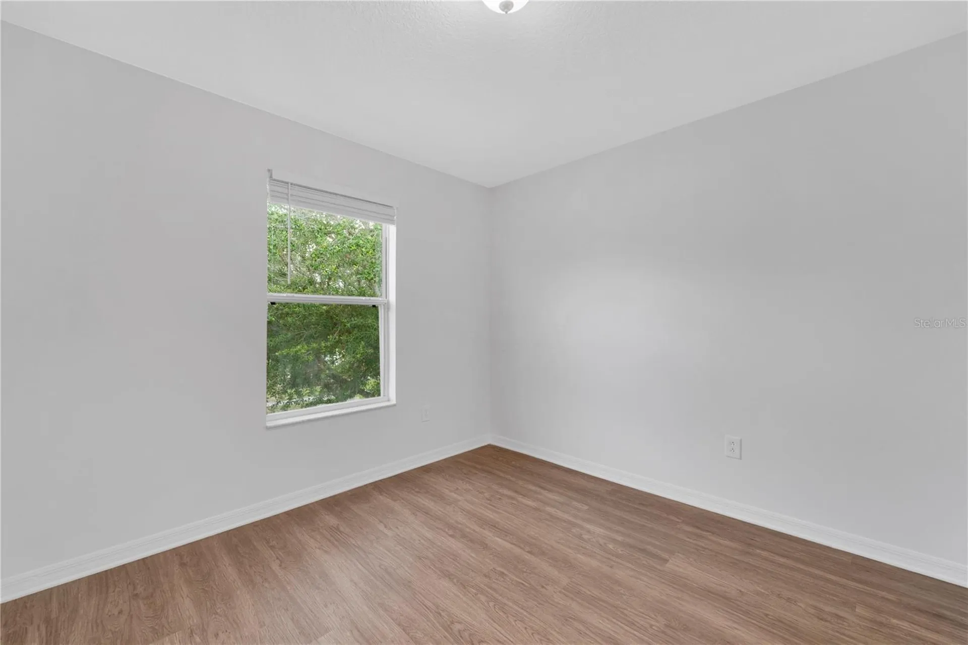 11228 Madison Park Drive Tampa FL 33625