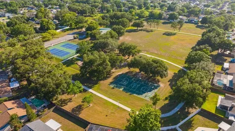 4608 Southbreeze Drive Tampa FL 33624