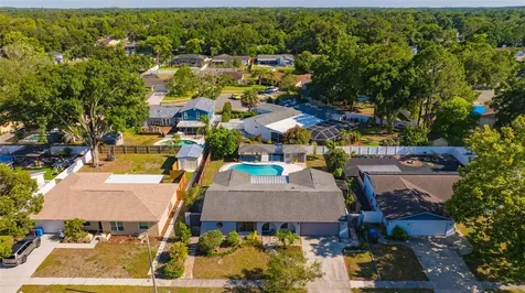 4608 Southbreeze Drive Tampa FL 33624