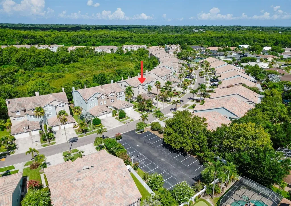 1722 Arabian Lane Palm Harbor FL 34685