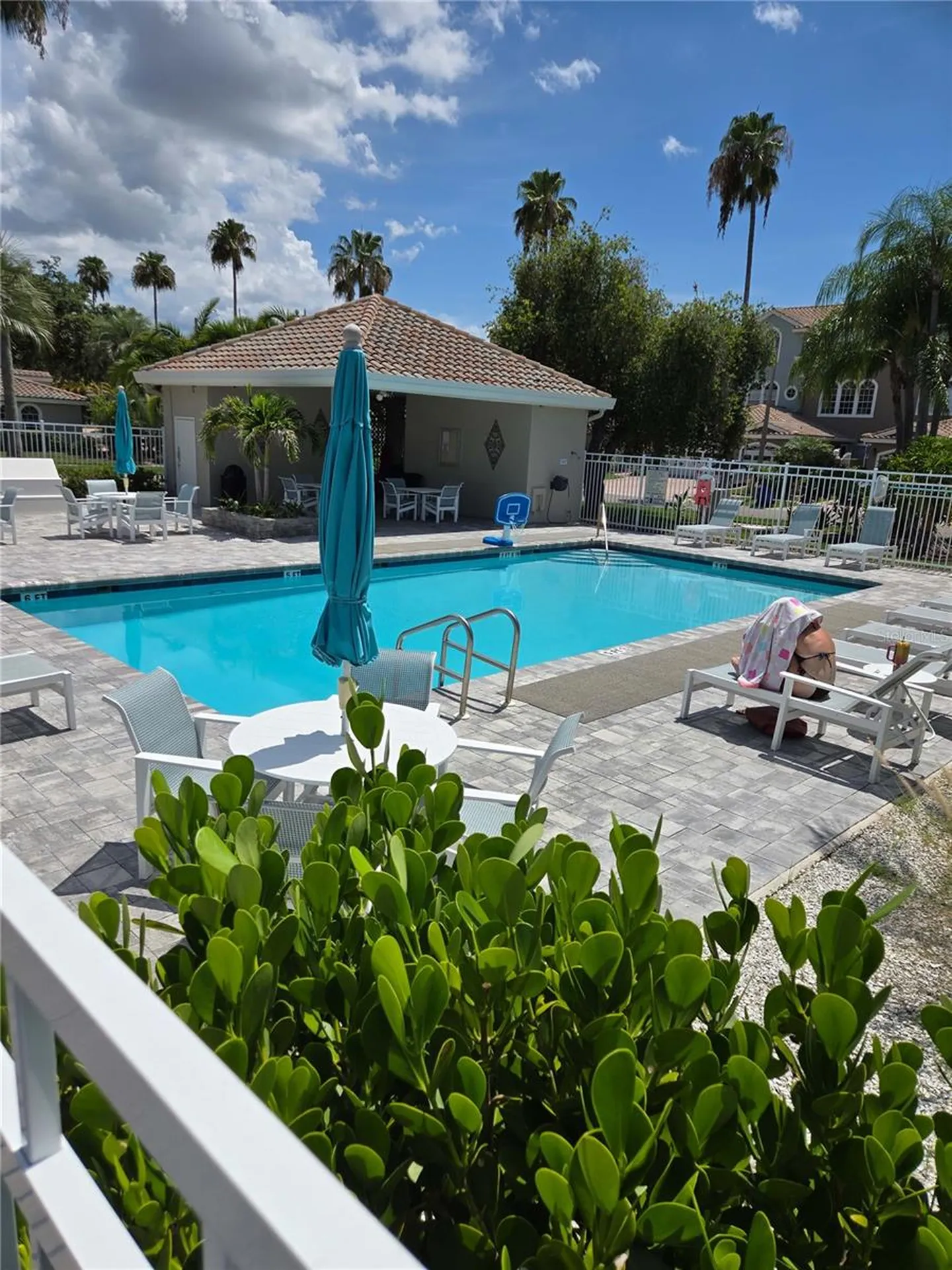 1722 Arabian Lane Palm Harbor FL 34685