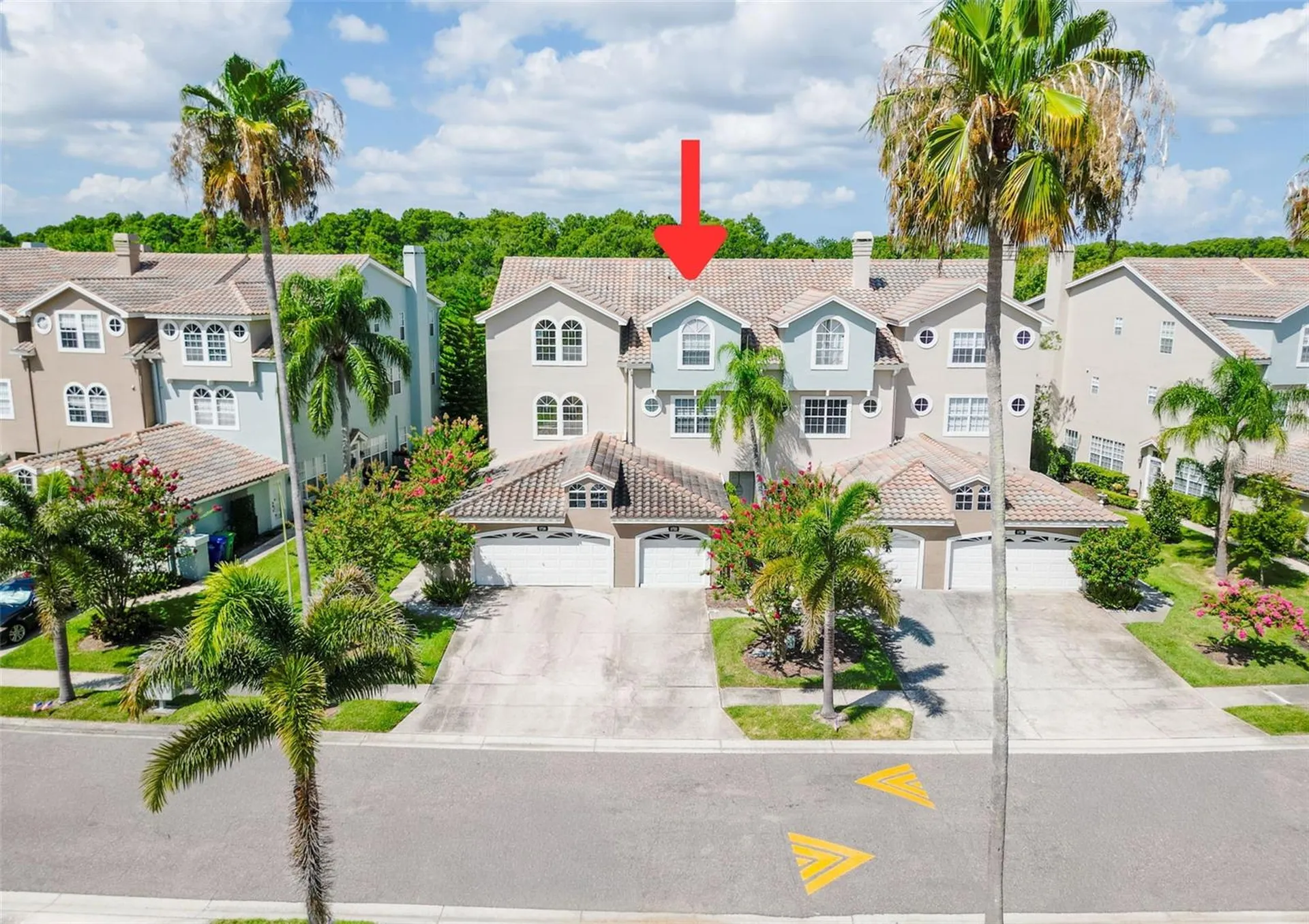 1722 Arabian Lane Palm Harbor FL 34685