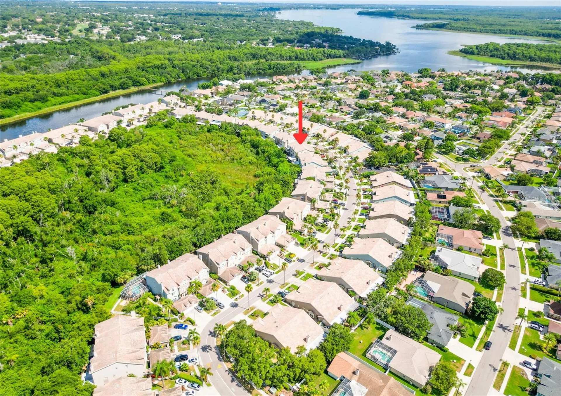 1722 Arabian Lane Palm Harbor FL 34685