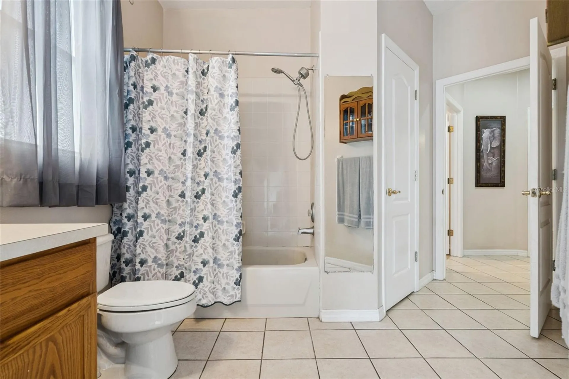 13163 Lakeshore Grove Drive Winter Garden FL 34787