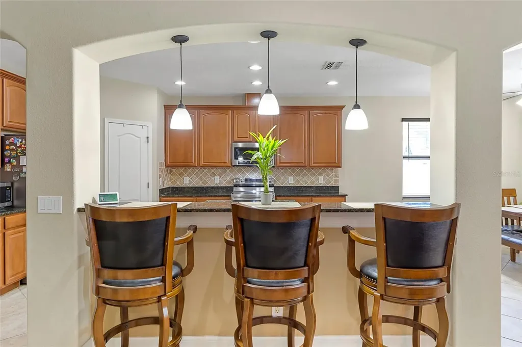 1945 Abbey Ridge Drive Dover FL 33527