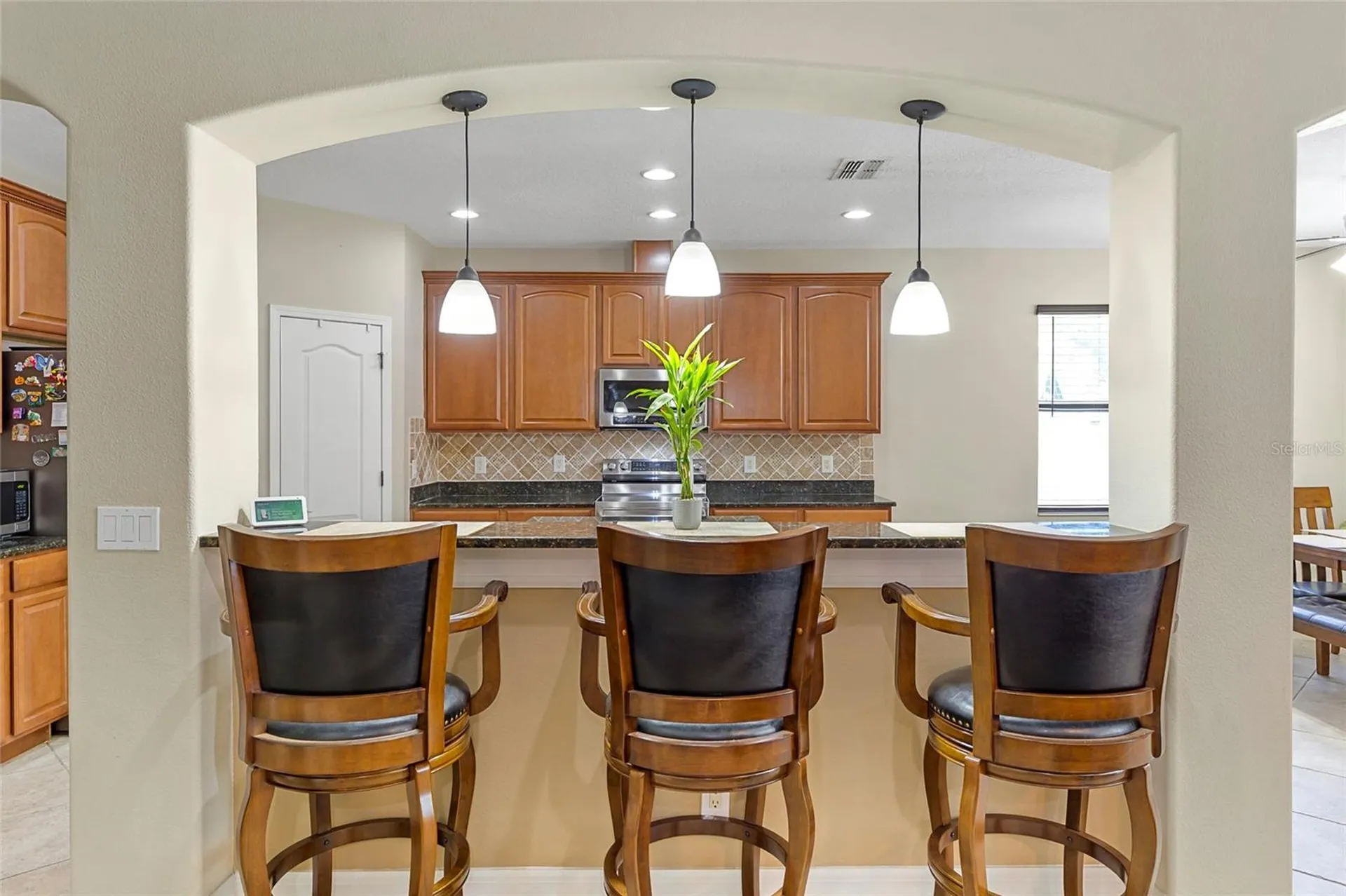 1945 Abbey Ridge Drive Dover FL 33527