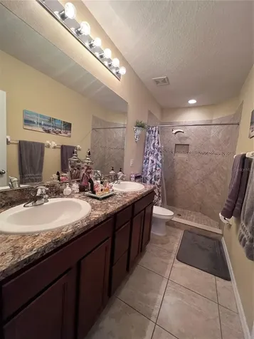 10426 Yellow Spice Court Riverview FL 33578