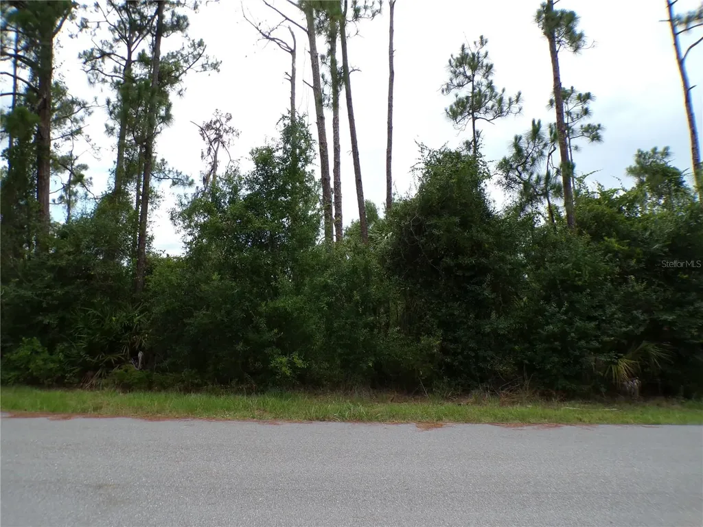Lummus Street North Port FL 34286