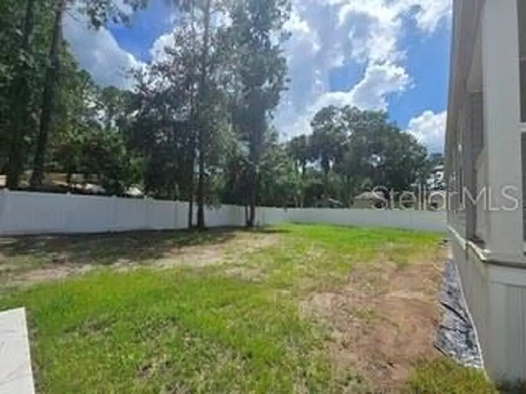 55515 Lisa Street Astor FL 32102