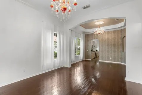 10411 Canary Isle Drive Tampa FL 33647