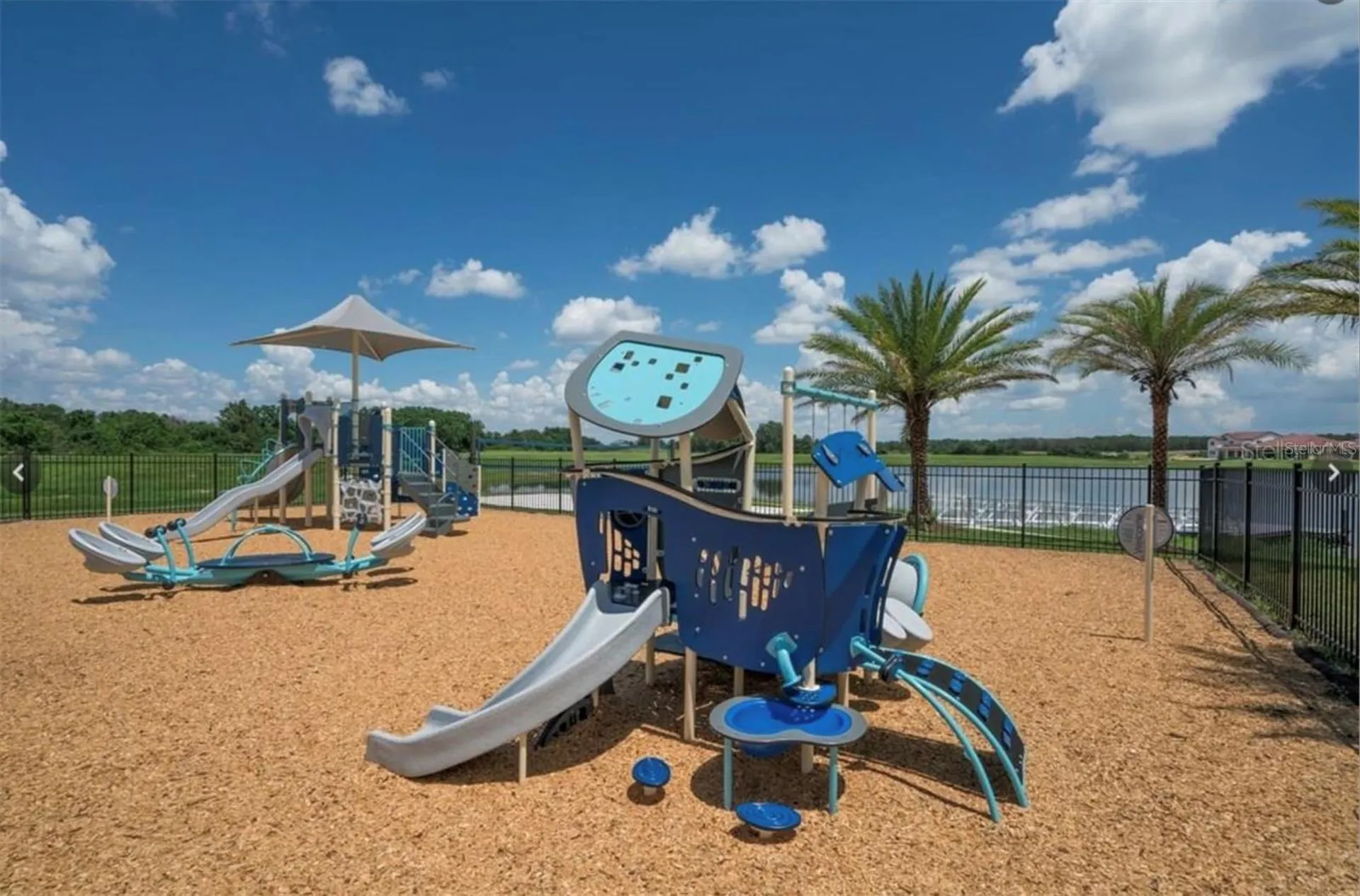 15709 Shorebird Lane Winter Garden FL 34787