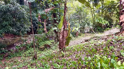 Ponce PR 00731
