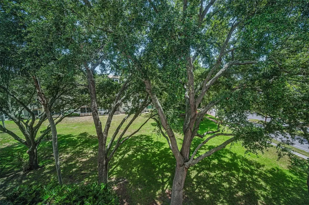 5725 80th Street N St Petersburg FL 33709