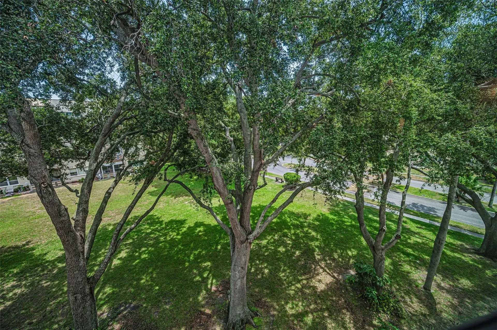 5725 80th Street N St Petersburg FL 33709