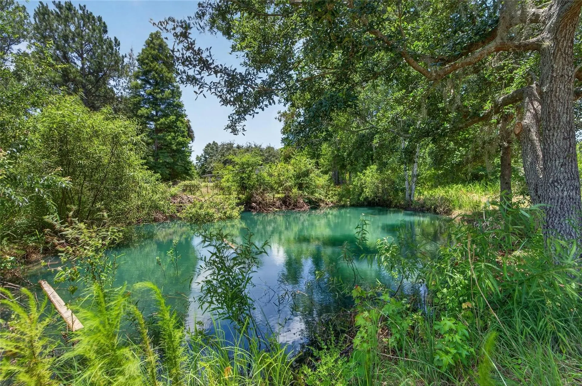 1205 Crystal Springs Road Zephyrhills FL 33540