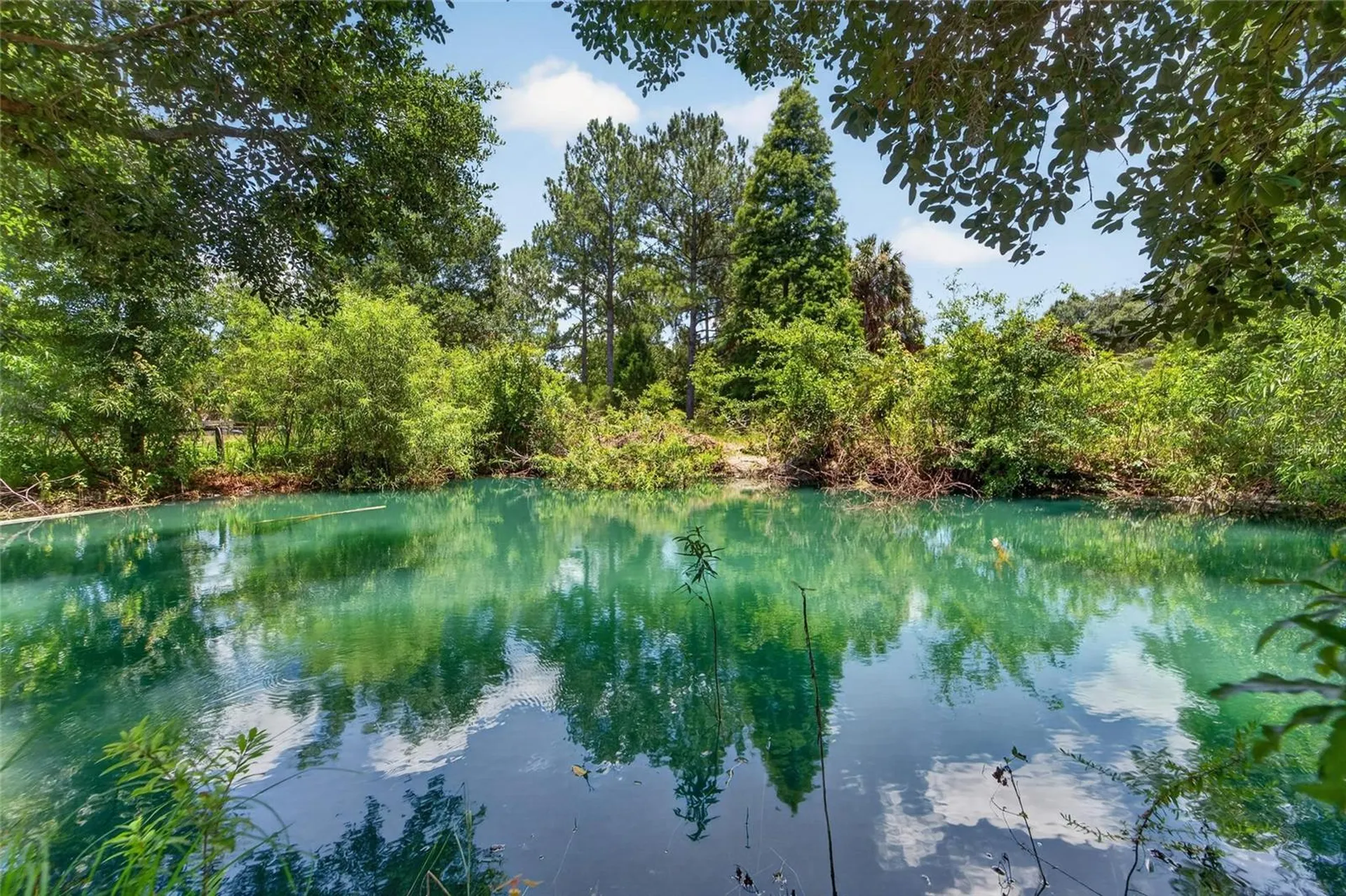 1205 Crystal Springs Road Zephyrhills FL 33540