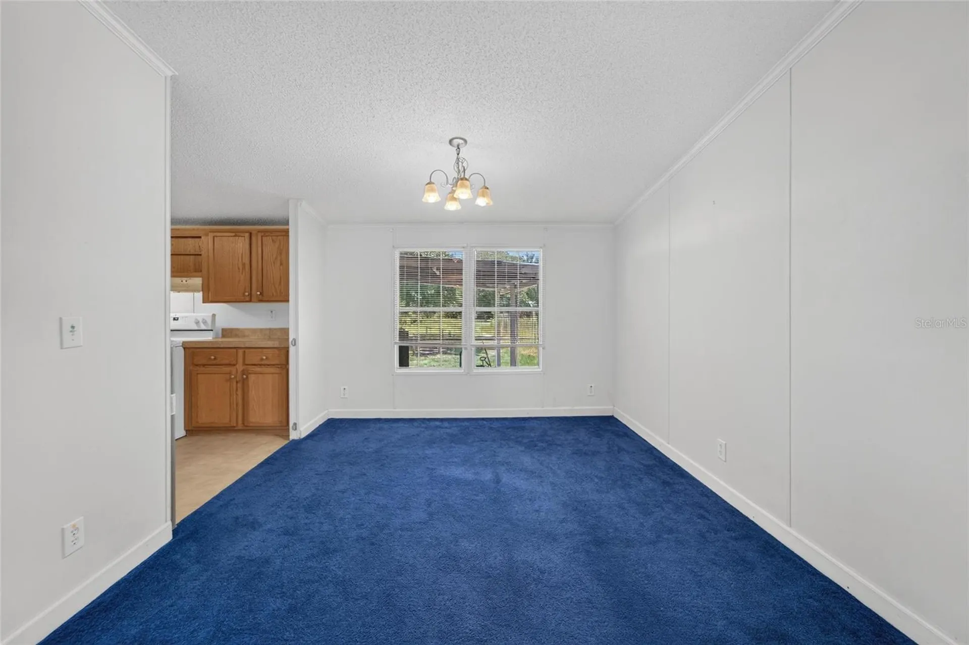 1205 Crystal Springs Road Zephyrhills FL 33540