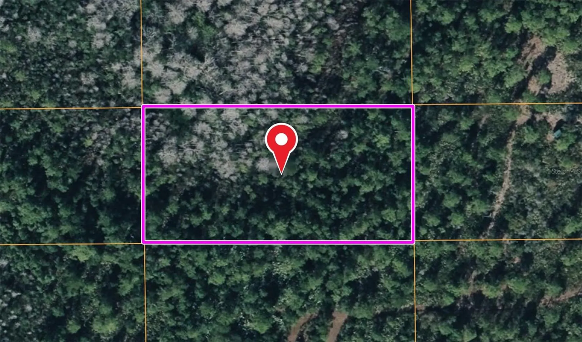 Dill Road Orlando FL 32820