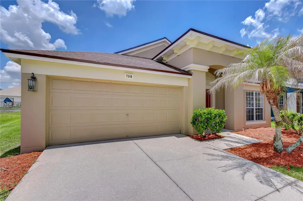 7548 Granitville Drive Wesley Chapel FL 33545