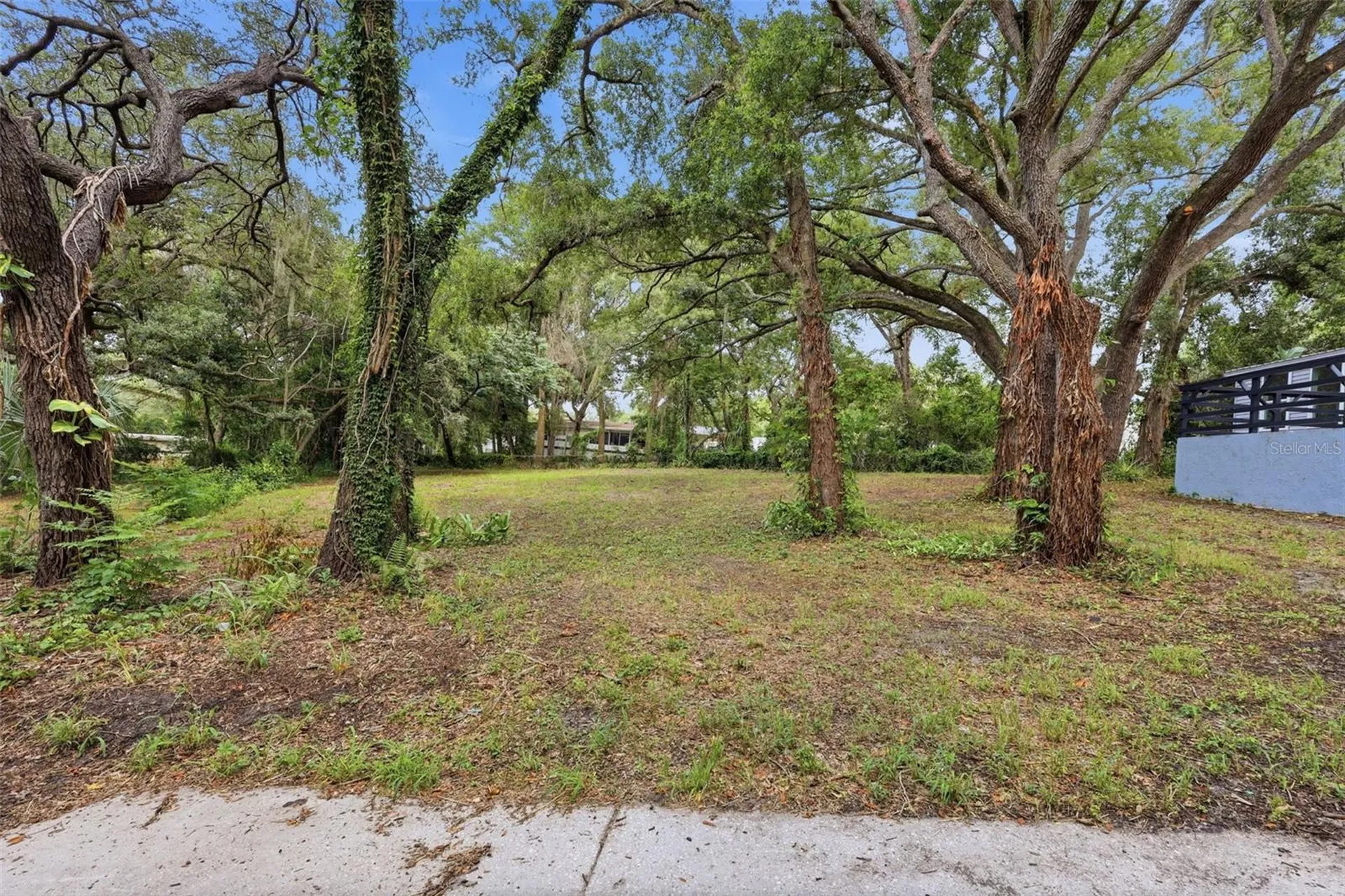403 Acorn Circle Fruitland Park FL 34731